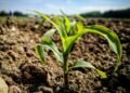 organic farming trends in california 2026 for beginners - Complete Guide