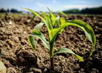 organic farming trends in california 2026 for beginners - Complete Guide