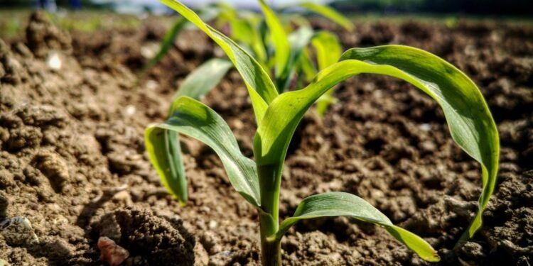 organic farming trends in california 2026 for beginners - Complete Guide
